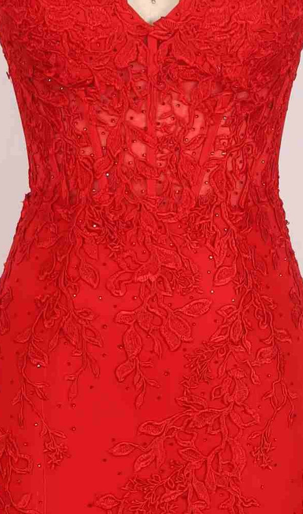 Close-up of the Long Prom Dress: PromGirl Exclusive 250227, showcasing a red, form-fitting silhouette with intricate floral embroidery and beading on sheer fabric.